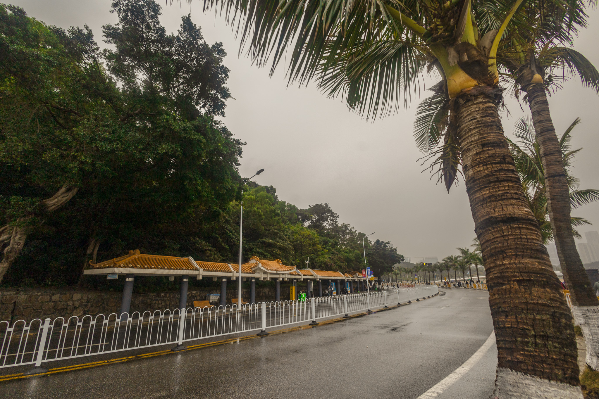 After the December Rain